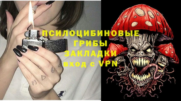 ешки Аркадак