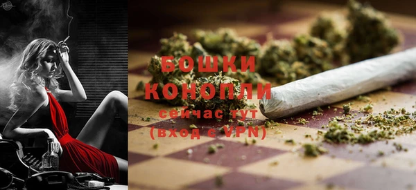 ешки Аркадак